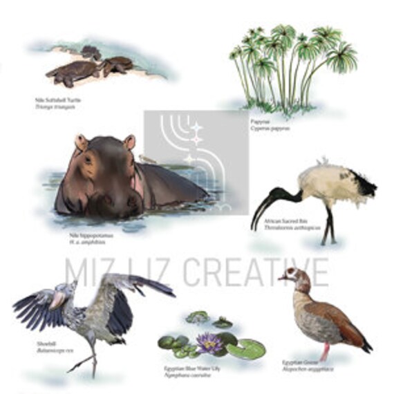 Nile River Animals Scrapbook Paper Digital Printable Kit - Etsy Nile River Animals Scrapbook Paper Digital Printable Kit - Etsy
