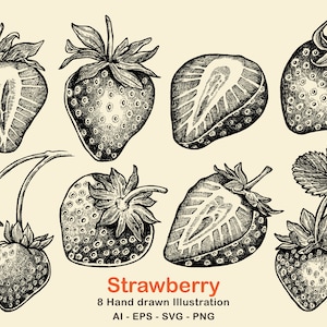 Strawberry Hand drawn Illustrations | Strawberry Drawing | Strawberry Clipart | Strawberry SVG | Strawberry Vector | Strawberry Design PNG