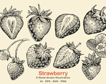 Strawberry Hand-Drawn Illustrations: Clipart, SVG, PNG (Digital)