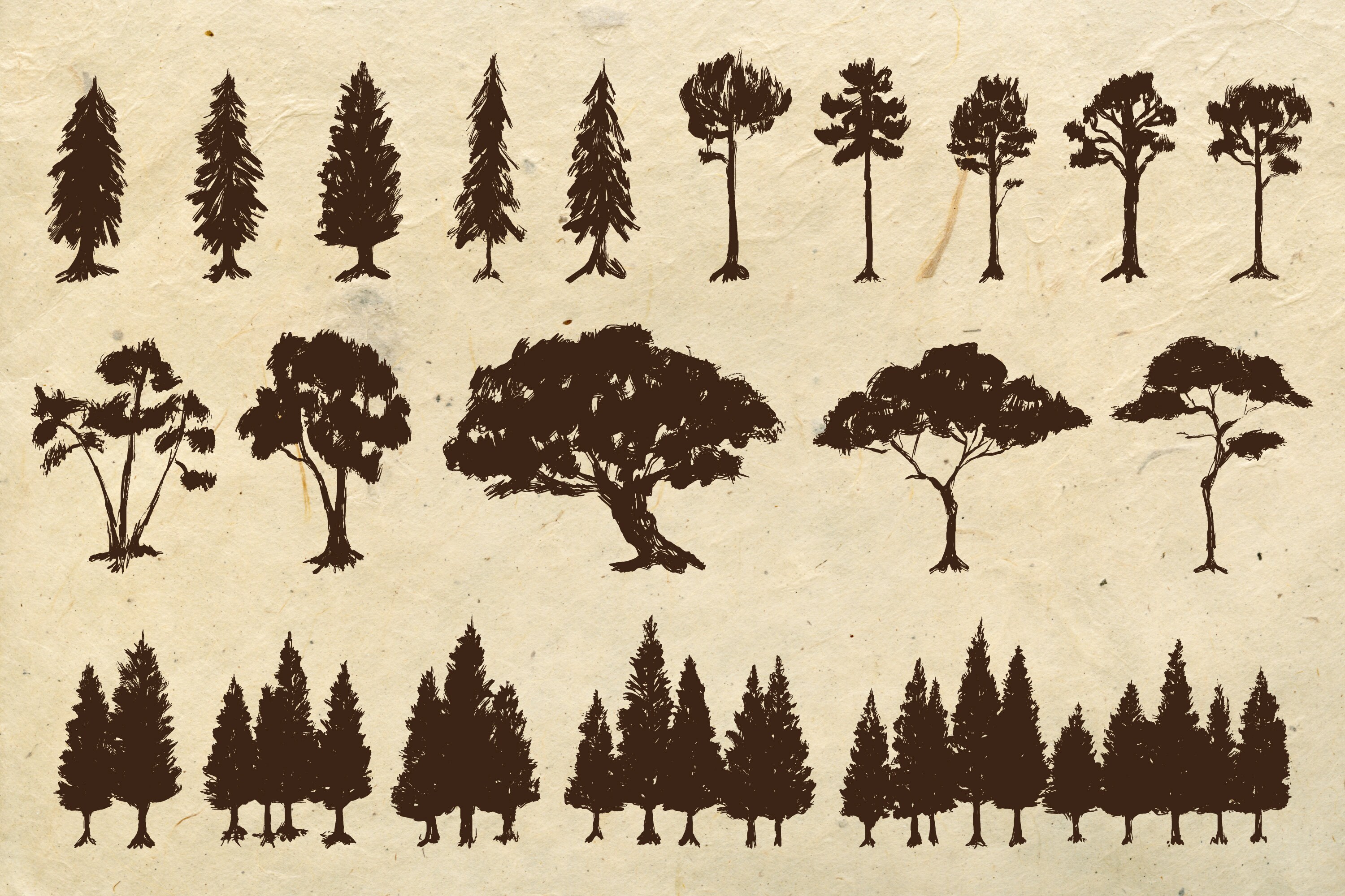 Hand Drawn Trees Elements | Trees Vector and Clipart Illustrations - Etsy