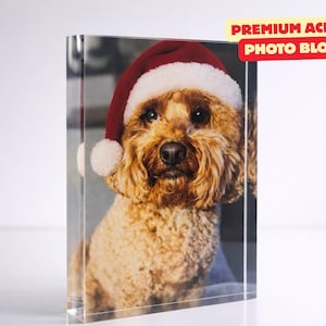 May include: A clear acrylic photo block featuring a dog wearing a Santa hat. The dog has curly brown fur and dark eyes. The text "PREMIUM ACRYLIC PHOTO BLOCKS" is displayed in red and yellow.