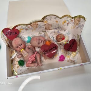 May include: Three miniature baby dolls resting inside a decorative box lined with floral paper. The dolls are accompanied by small accessories including a bottle, a pacifier, and three red heart-shaped cutouts labeled Luna, Beanie, and Poppy.