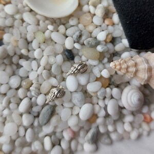 White - Handcrafted Seashell Stud Earrings