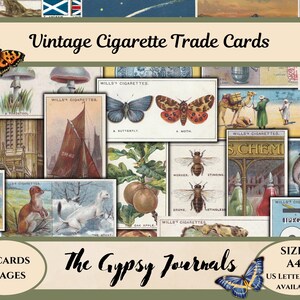 Cartes de visite vintage, Willis Le saviez-vous ? Série complète 1 set 1922, imprimable, kit numérique, cartes de thé, éphémères