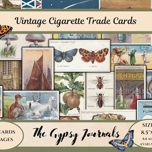 Cartes de visite vintage, Willis Le saviez-vous ? Série complète 1 set 1922, imprimable, kit numérique, cartes de thé, éphémères