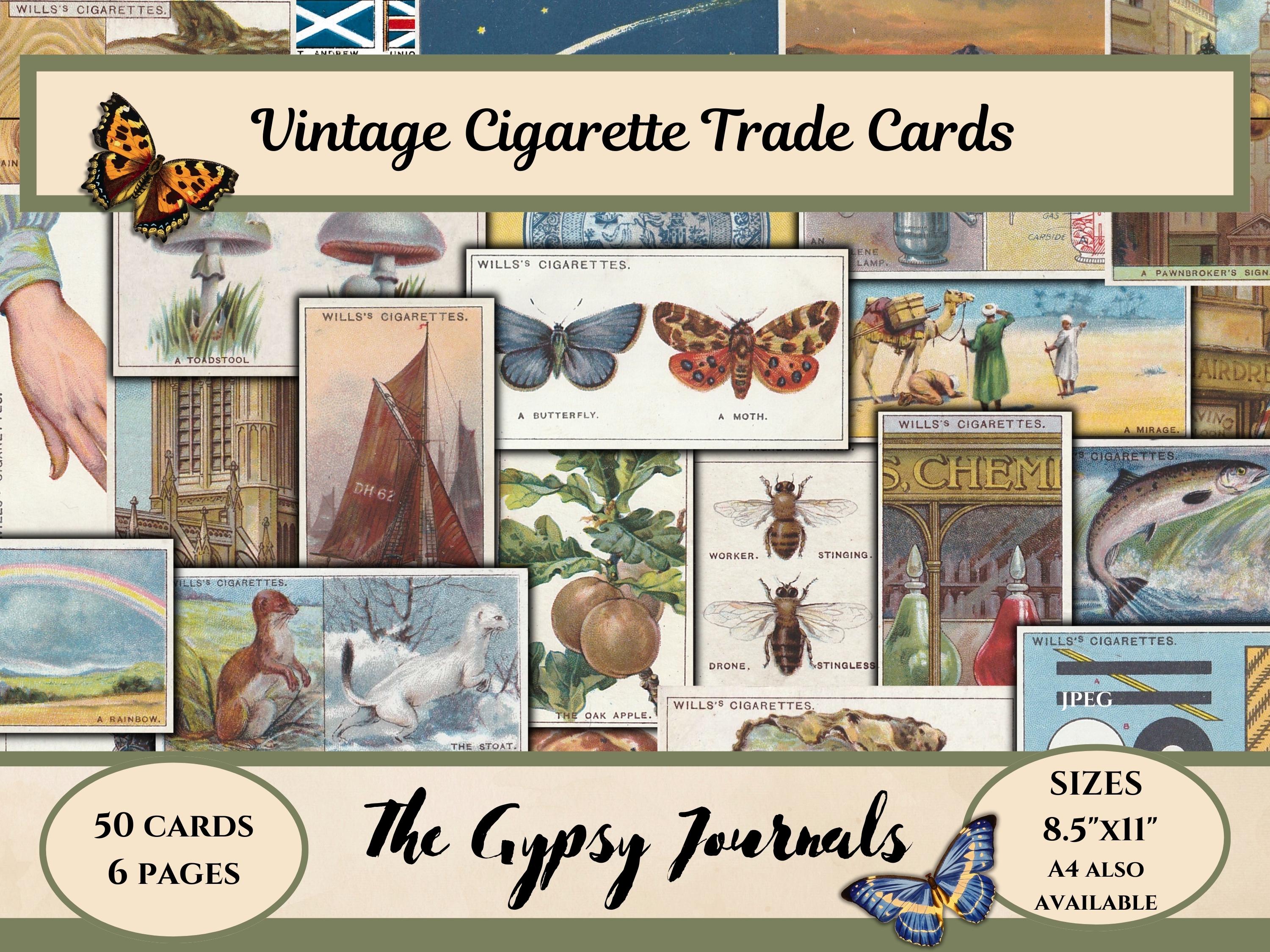 rare wills cigarette cards Amazon.com: Pokemon TCG : 100 Card LOT Rare, COM/UNC, Holo & Guaranteed EX,  MEGA OR Full Art, : Toys & Games main image 0