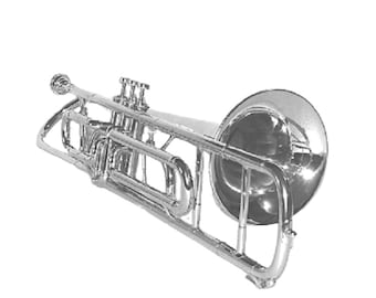 Trombón niquelado con válvula Sib, estuche rígido y boquilla incluidos.