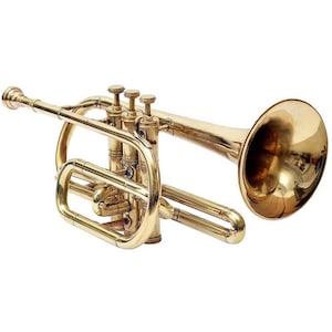 May include: A brass cornet instrument with a polished finish. The cornet features three valves, a curved body, and a flared bell. The instrument is designed for playing music and has a shiny, reflective surface.