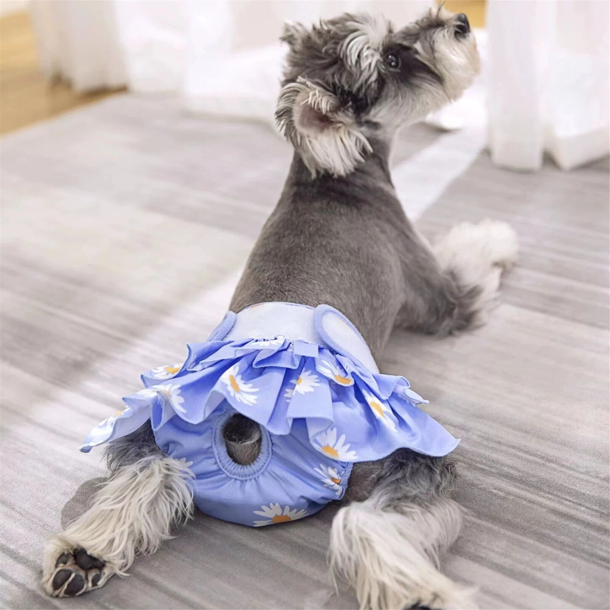 Dog Diaper Pattern - Etsy