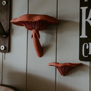 Mushroom Shelf, Wall Shelf, Mushroom Decor, Mushroom Shelves, Cottagecore Decor, Goblincore, Mushroom Gifts