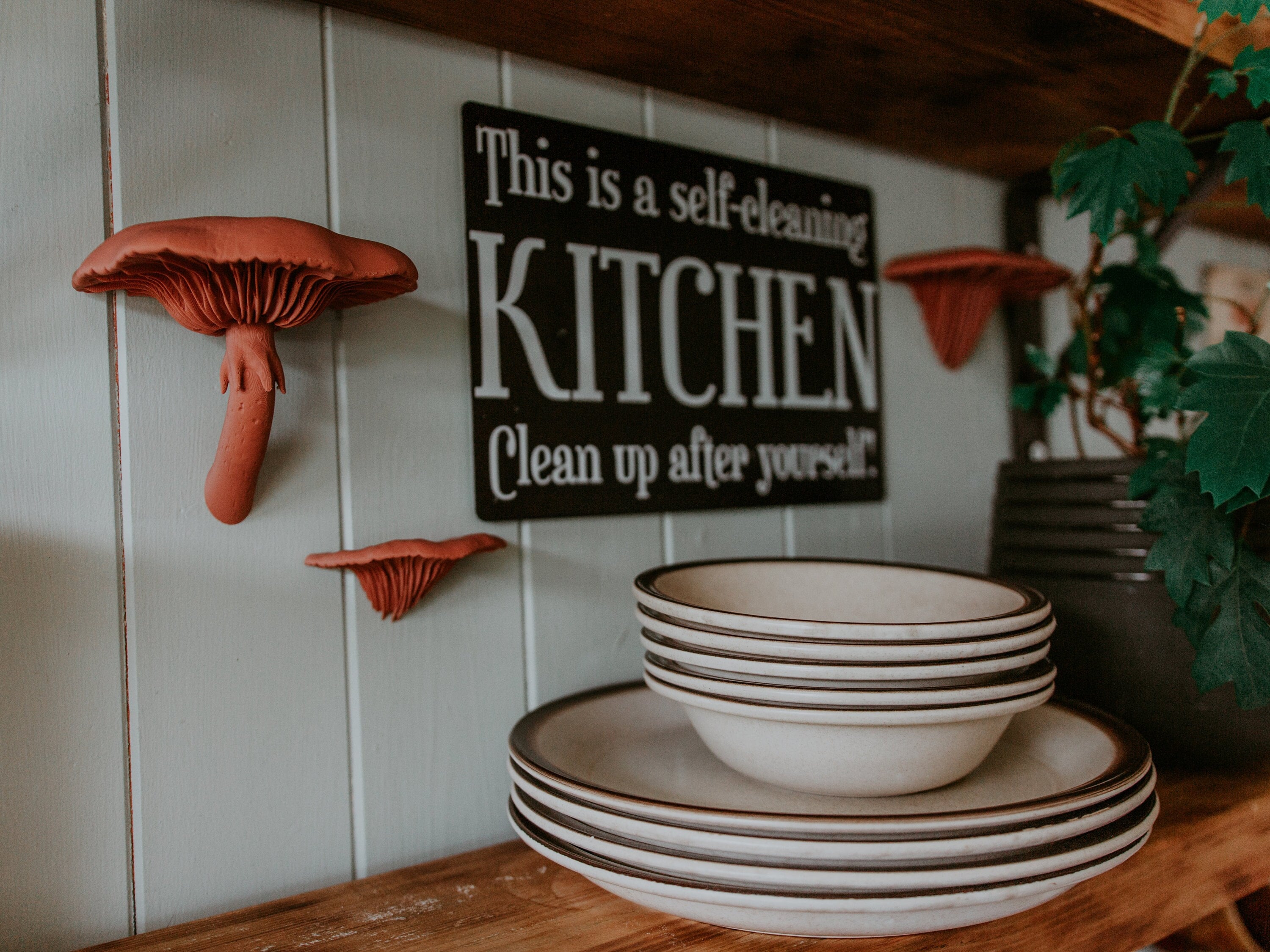 Mushroom Shelf, Small Wall Shelf, Fairycore Shelf, Magic Mushrooms Lamp