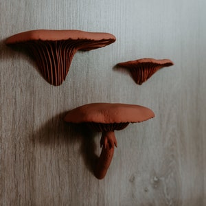 Wooden Mushroom Wall Hooks - For Light Sleepers