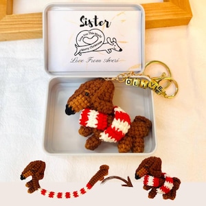 Personalisierte häkeln Dackel Name Schlüsselanhänger Geschenkbox | Niedliche gemütliche Geschenke | Hundeliebhaber | Haustier | Gold Schlüsselanhänger Handtasche Taschenanhänger |Wollfilz stricken