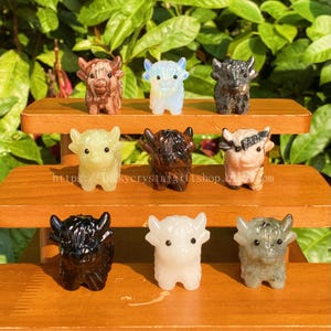 May include: Nine carved crystal Highland cow figurines in various colours and textures are displayed on a two-tiered wooden shelf. The figurines are set against a backdrop of green foliage. The website address is visible on the bottom shelf.