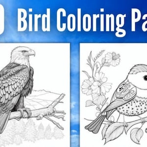 Birds, coloring, bird pages, Outdoor Learning, Coloring Pages, Abstract Birds, Nature Coloring Pages, Kids coloring books