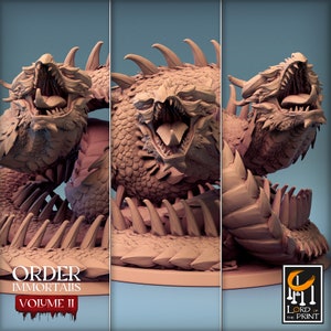 May include: A three-headed dragon miniature with a detailed sculpt and a textured surface. The dragon is painted in a light brown colour and has a fierce expression. The miniature is part of the Order Immortals Volume II collection.