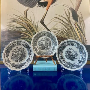 Spode Archive Collection Black and White - Etsy