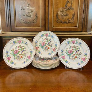 Aynsley Pembroke Dinner Plate - Etsy