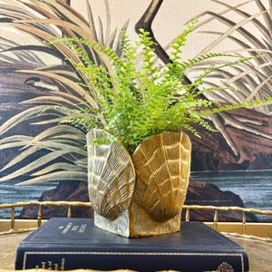 May include: A gold-toned metal planter shaped like a large seashell with textured, radiating ridges. The planter holds a vibrant green fern plant with delicate, feathery fronds, creating a contrast between the metallic finish and foliage.