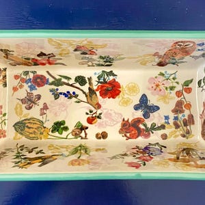 K&ouml;nnte beinhalten: Rechteckige Servierschale mit wei&szlig;em Innenraum und hellgr&uuml;nem Rand und Griffen. Der Innenraum ist mit farbenfrohen Illustrationen von Blumen, Schmetterlingen, V&ouml;geln und einem Eichh&ouml;rnchen verziert. Die Schale steht vor einem blauen Hintergrund.