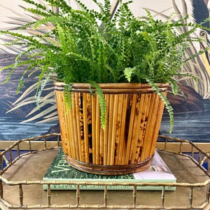 Vintage Burnt Bamboo 12" Planter / Wastebasket
