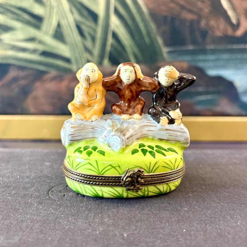 Monkey Mystery Box - Etsy