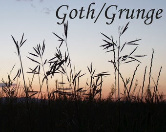 Thrifted Goth/Grunge Aesthetic Mystery Clothing-bundel