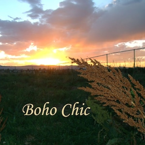 Thrifted Boho Chic Aesthetic Mystery Clothing Bundle
