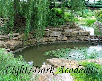 Thrifted Light/Dark Academia Aesthetic Mystery Clothing Bundle