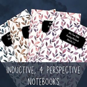 One Bible, One Year, 4 Perspectives: Reading Plan & Printable Notebooks