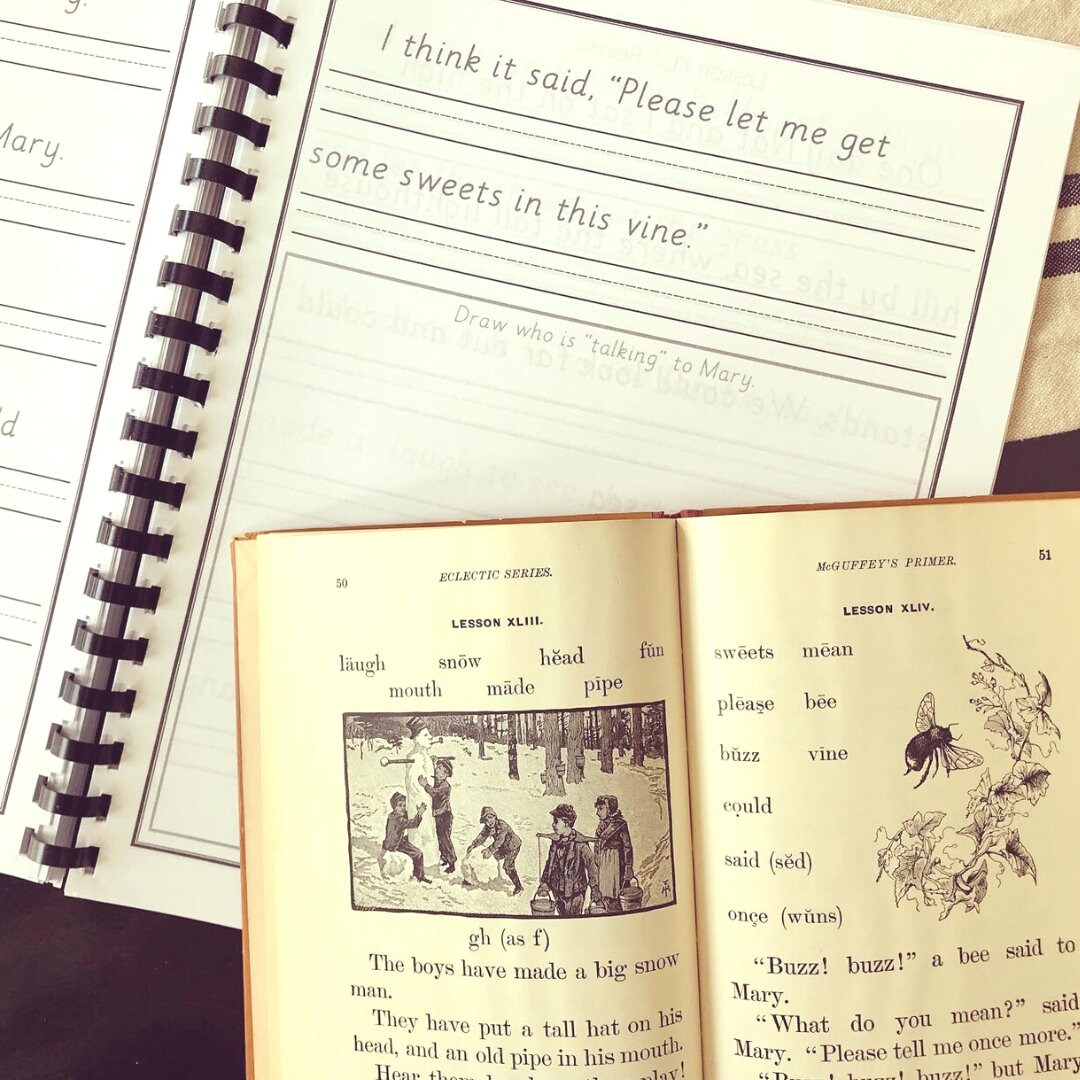 Mcguffey's Primer Copywork: D'nealian Print - Etsy