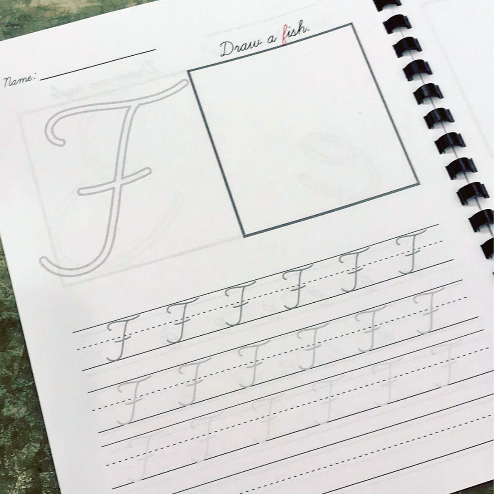 The Alphabet: D'nealin Cursive Handwriting Practice - Etsy