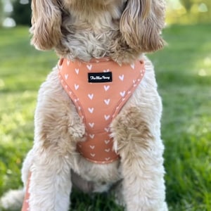 Aesthetic Dog Harness Cute Dog Harness Peach Dog Harness Valentines Harness Dog Teacup Puppy Harness Cute Dog Harness for Small Dogs Girl