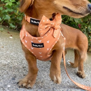 Aesthetic Dog Harness Cute Dog Harness Peach Dog Harness Valentines Harness Dog Teacup Puppy Harness Cute Dog Harness for Small Dogs Girl