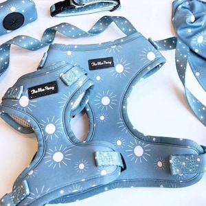 Blue Sun Print Dog Harness Matching Leash Cute Dog Harness Boy Adjustable Dog Harness Summer Dog Harness Bundle Cute Boy Dog Collar