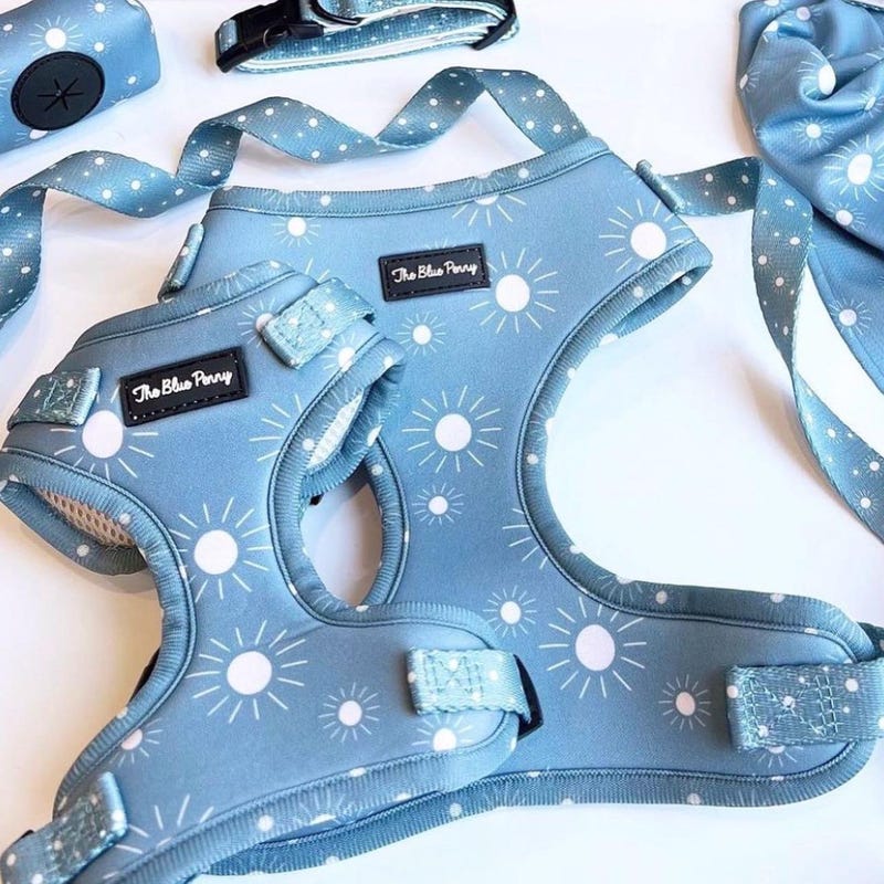 Dog Harness Pattern - Etsy
