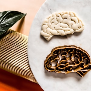 Cortador de biscoitos anatômico para cérebro, cortador de biscoitos anatômico, massa de pastelaria, presente de psicologia, presente de terapia para cérebro humano, cerâmica de biscoito