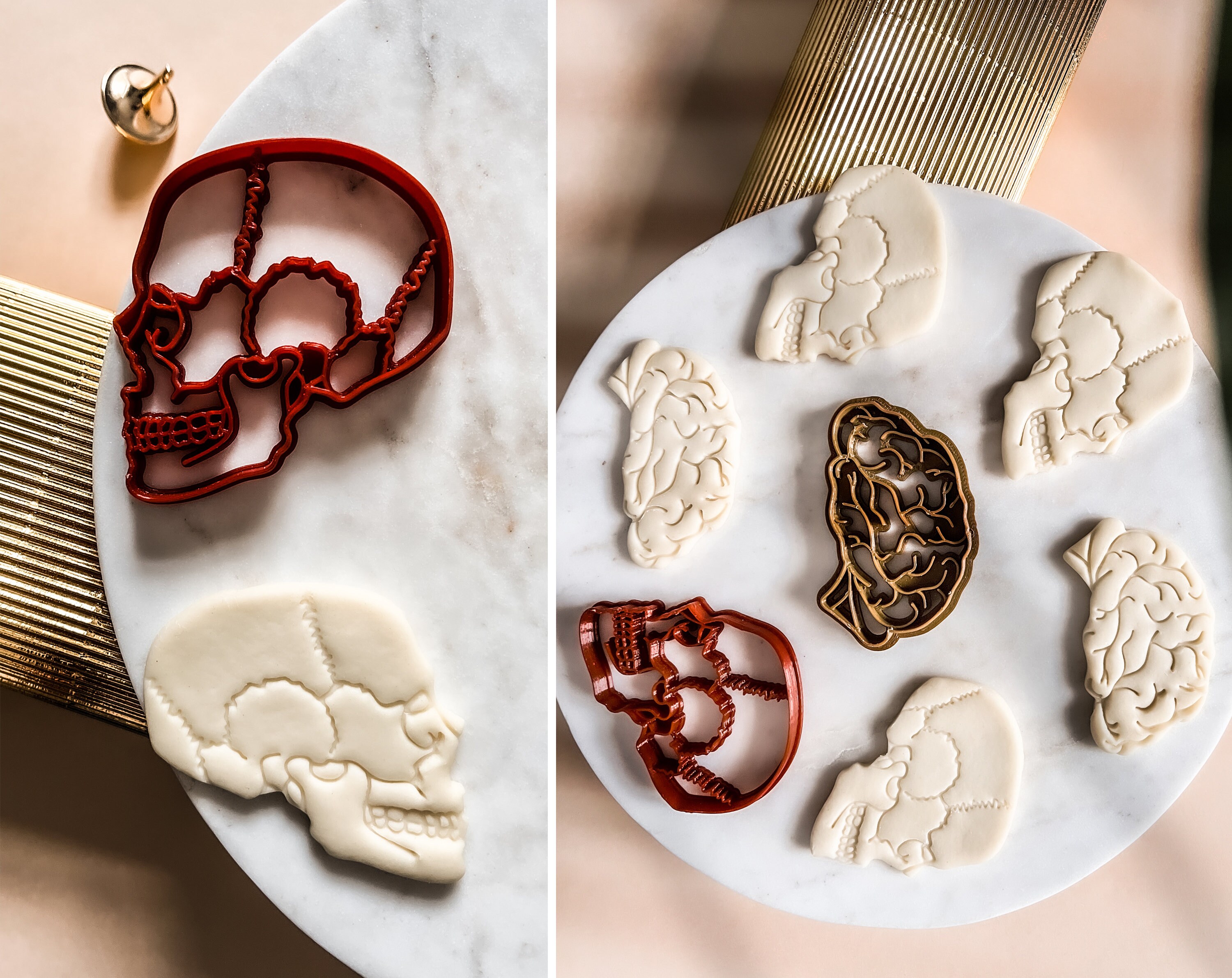 Foto Di Anatomia Cranio Umano - Scarica Immagini Gratuite Di Alta Qualità | Freepik - Foto 7