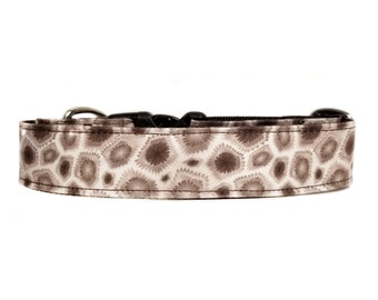 Brown Petoskey Stone Dog Collar