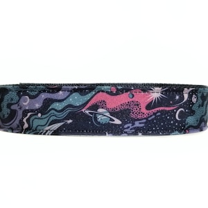 Space Dog Collar
