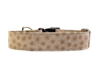 Tan Petoskey Stone Dog Collar