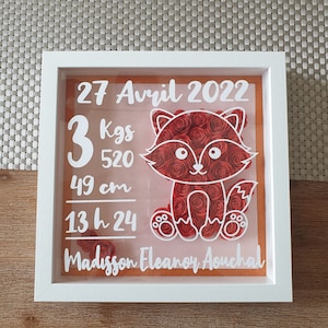 Pink frame, 3D roses, birth frame, baby frame, flower box, birth gift