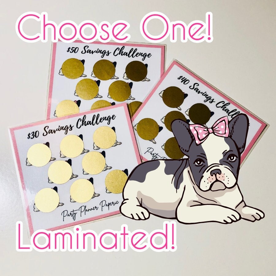 MINI Savings Challenge Scratcher Girl Dog Mini Scratcher 30 40 50