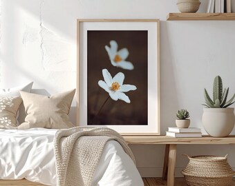 Delicadas anémonas blancas: fotografía de naturaleza melancólica con tonos marrones, impresión digital de flores silvestres