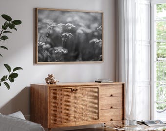Fotografía monocromática de prados de flores silvestres: arte natural en blanco y negro (descarga digital)