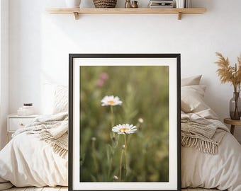 Impresión de margaritas de prado: fotografía de flores silvestres de verano, arte minimalista de la naturaleza (descarga digital)