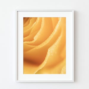 Yellow Rose Petal Macro Print – Gentle Flower Wall Art, Soft Nature Photography, Minimalist Floral Decor, Digital Download