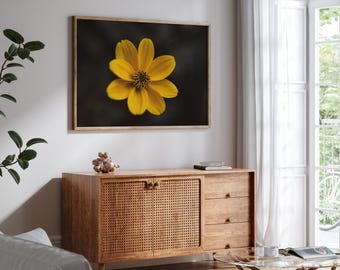 Trío de flores amarillas iluminadas por el sol: fotografía floral macro, imprimible, descarga digital, decoración imprimible