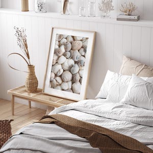May include: A framed print of a close-up of a pile of seashells in shades of white, beige, and brown. The print is hanging on a white wall above a bed with white bedding and a brown throw blanket.