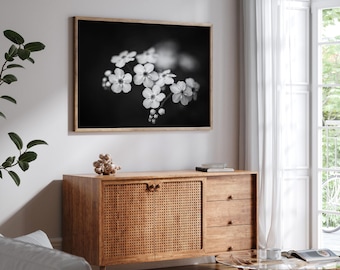 Impresión fotográfica de nomeolvides: Floral minimalista en blanco y negro (descarga digital)